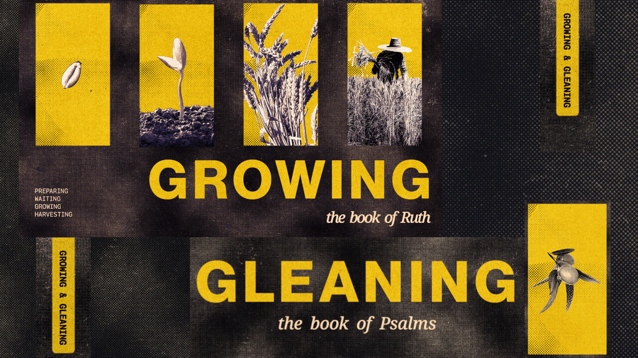 Growing Gleaning2