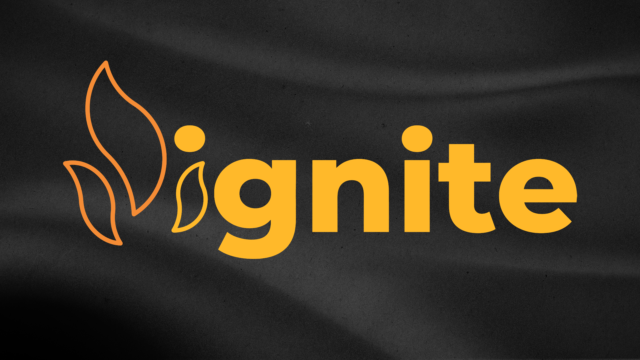 Ignite web