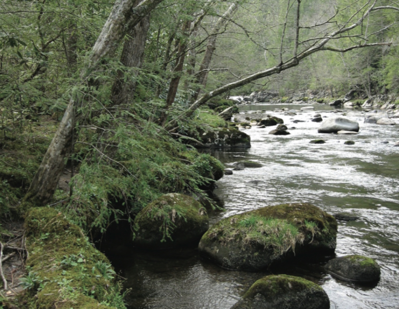 Cover image56