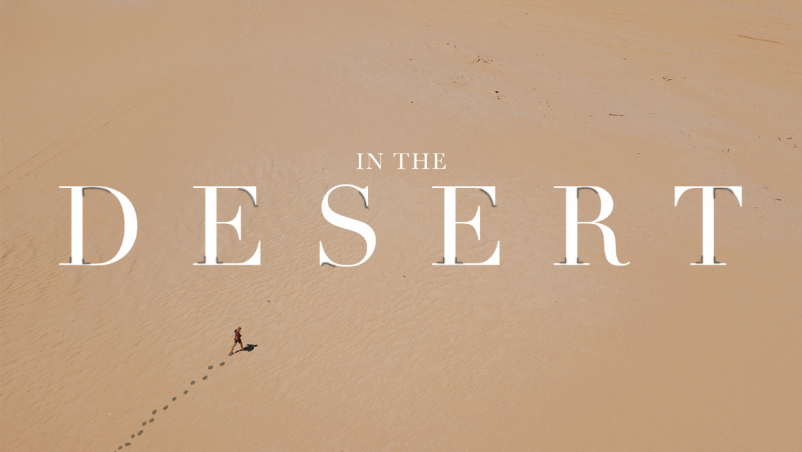 In The Desert title