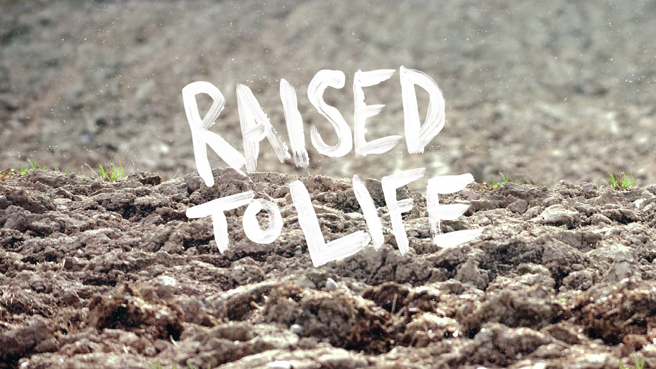 Raised to Life Promo Slide