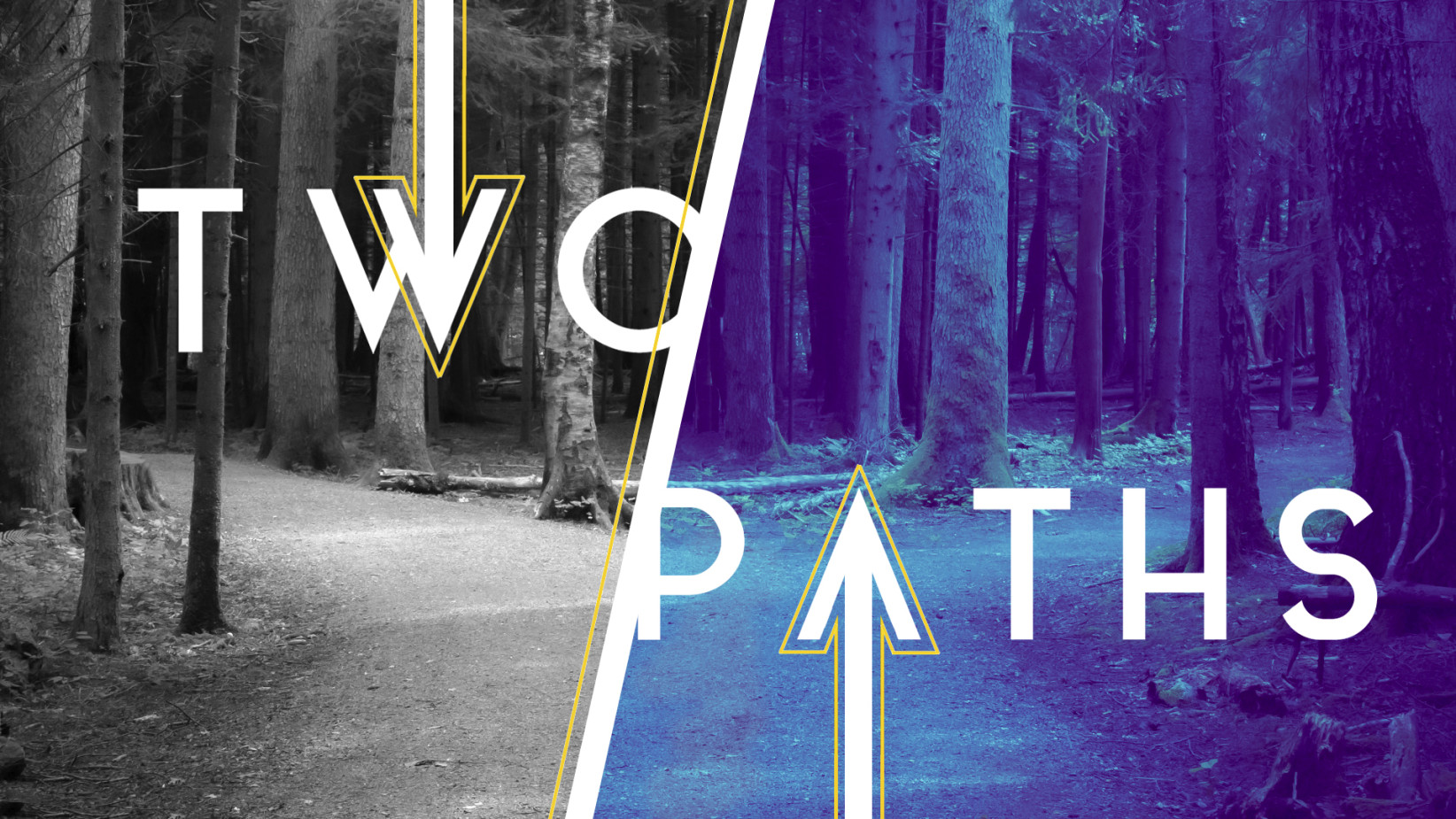 Two Paths Title