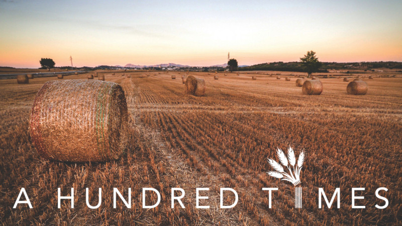 A Hundred Times title