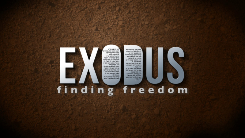 EXODUS art 001