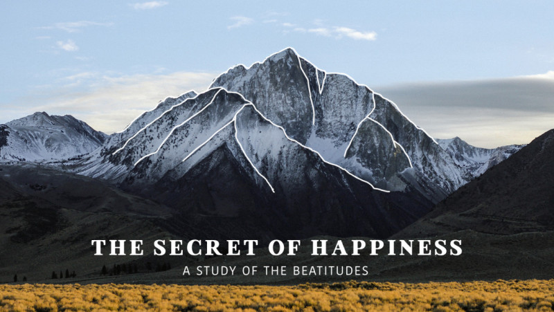 The Secret of Happiness title